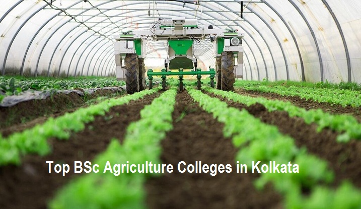 Government Private Top BSc Agriculture Colleges in Kolkata